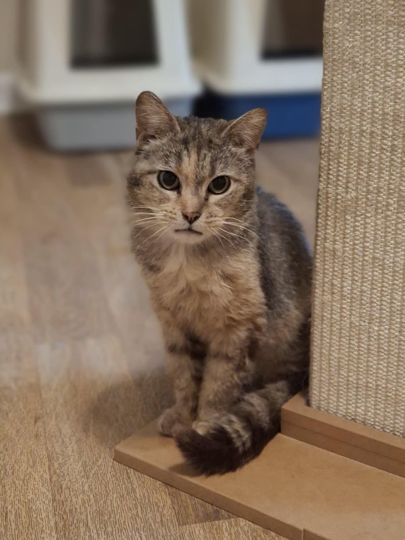 Vivian
