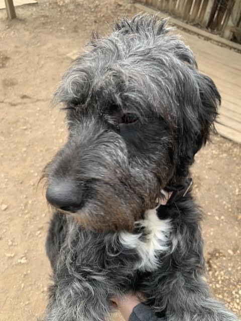 Mistylynn thumbnail 2