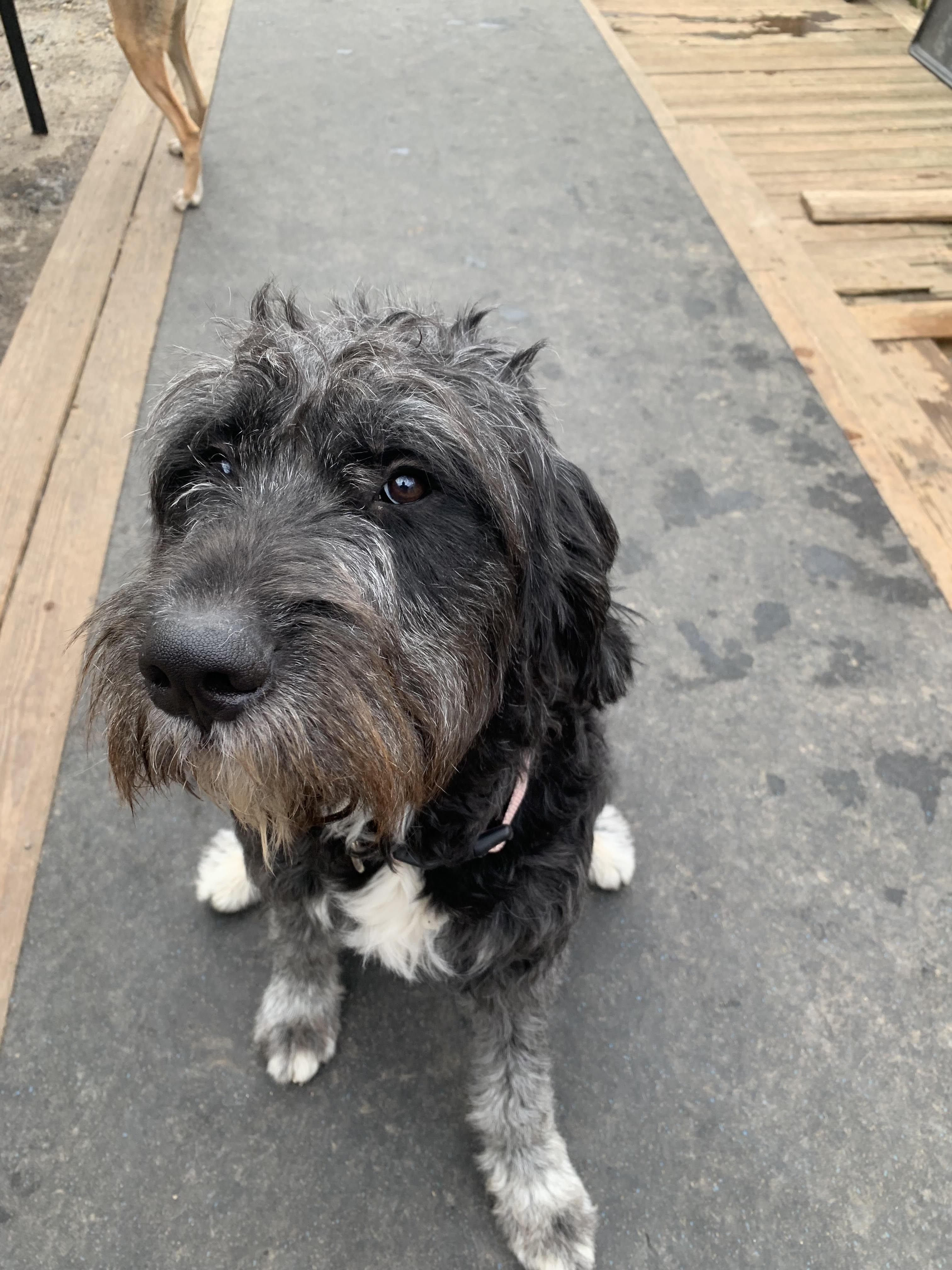 Mistylynn thumbnail 4