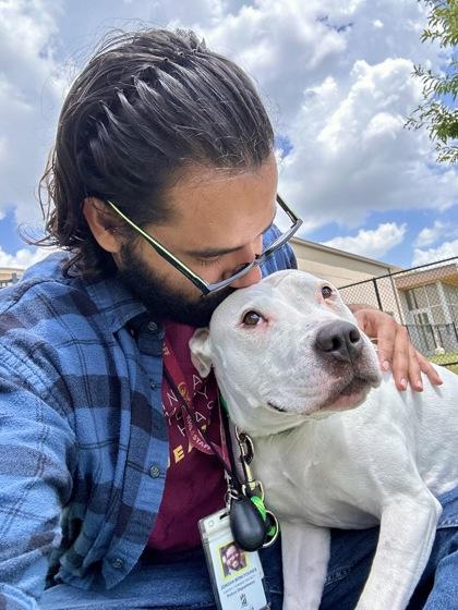 Dazzle, a Adoptable mixed breed in Wichita, KS image 2/3