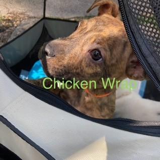 Chicken Wrap thumbnail 4