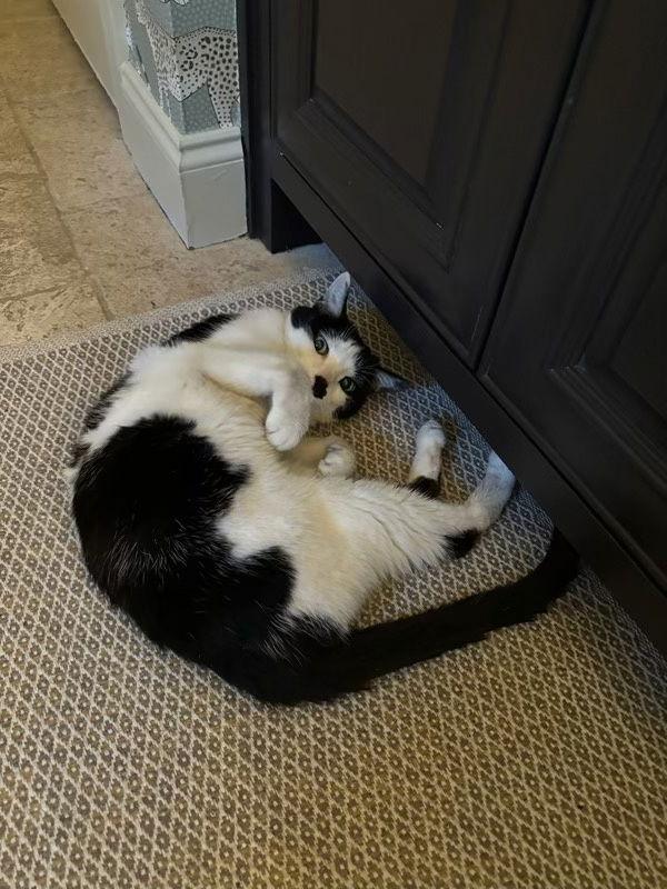 June Bug — thumbnail 6