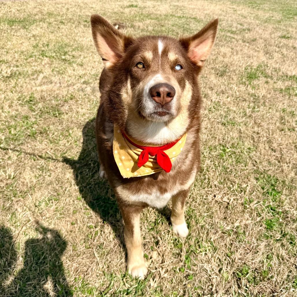 Cherry Pepper — thumbnail 2