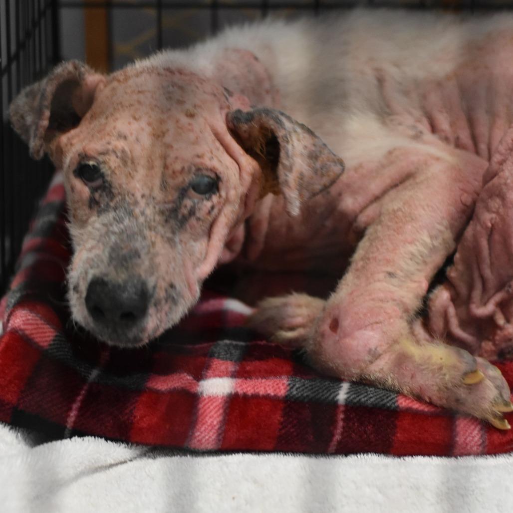 Winter — thumbnail 3