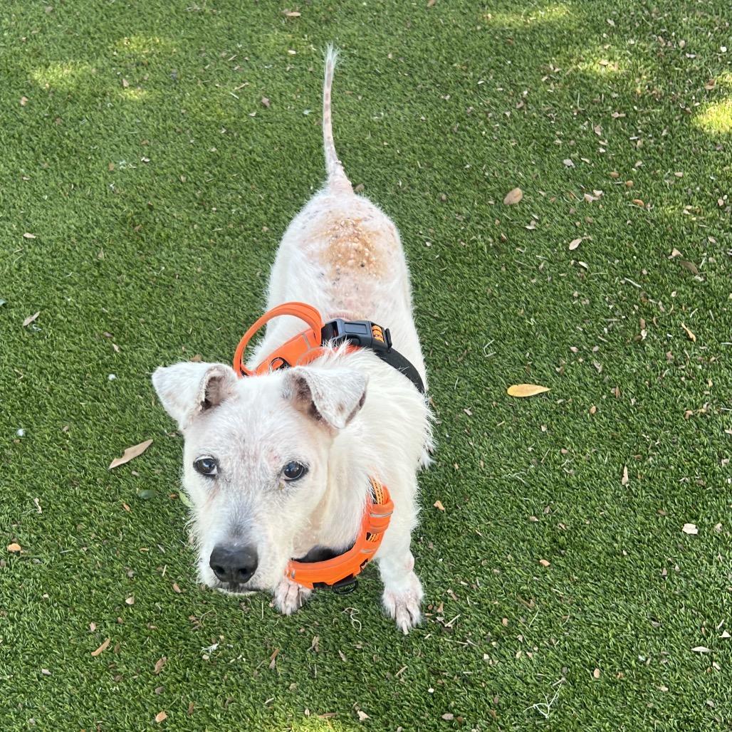 Winter — thumbnail 4