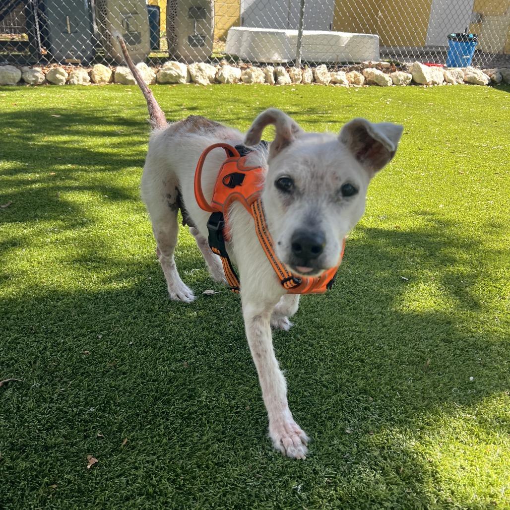 Winter — thumbnail 5