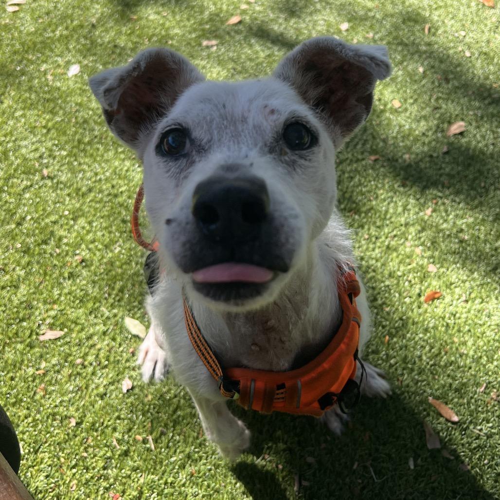 Winter — thumbnail 6