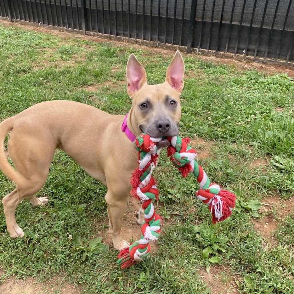 Kimmie — thumbnail 2