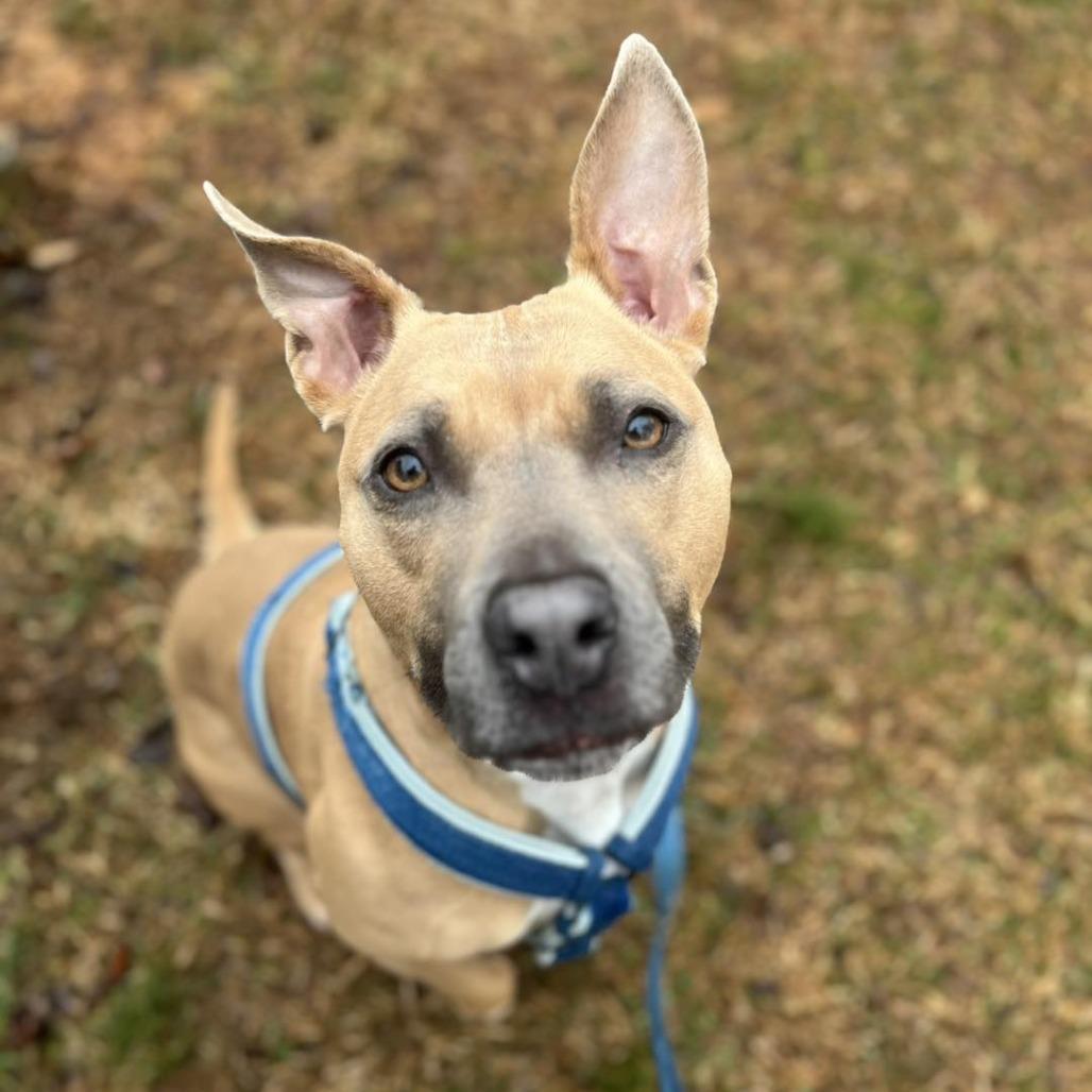 Kimmie — thumbnail 3