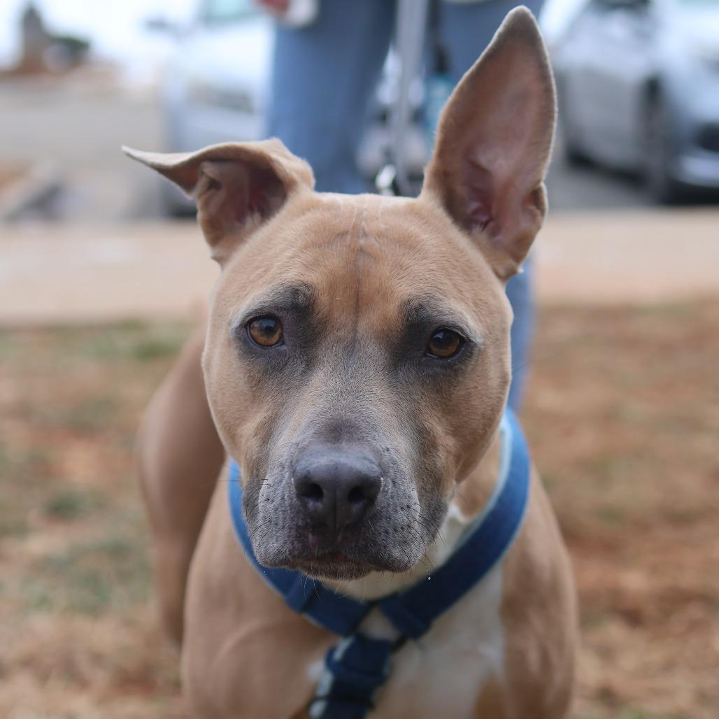 Kimmie — thumbnail 5