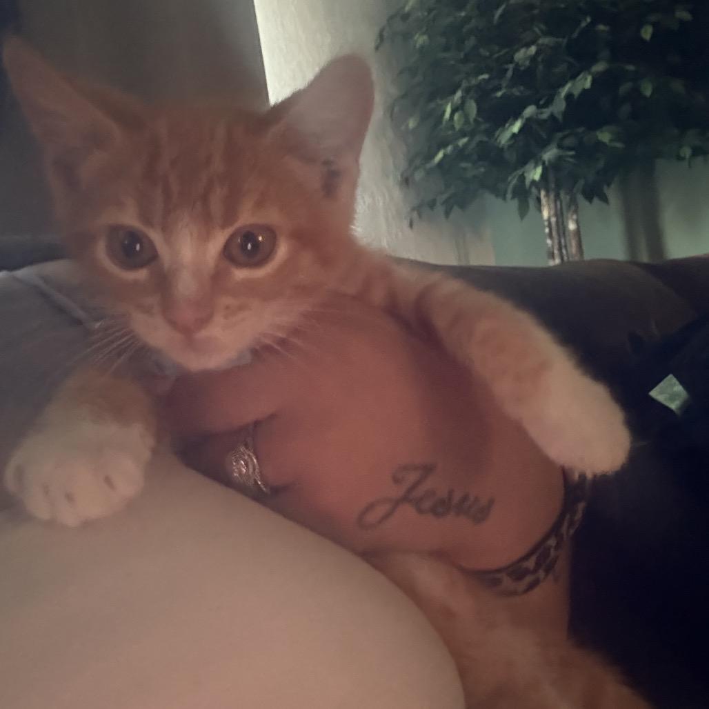 Photo of Sinatra