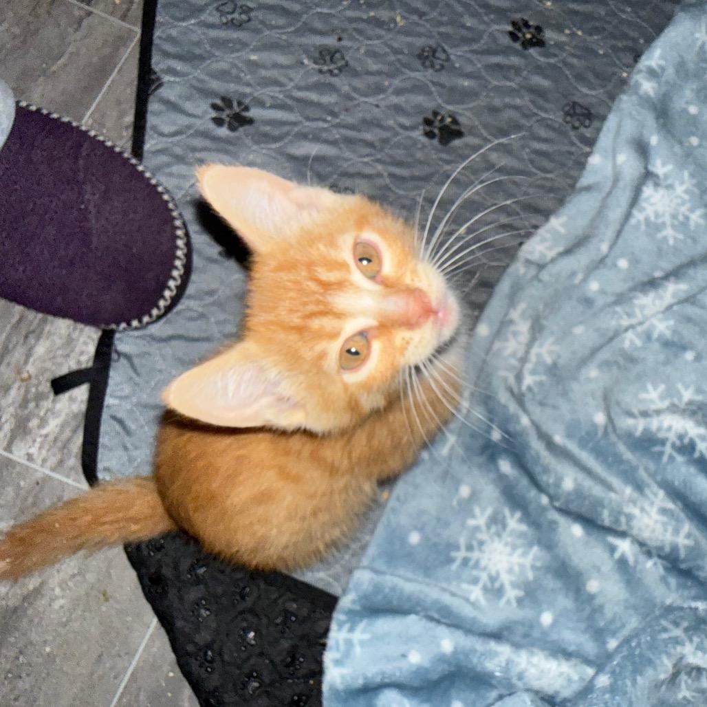 Photo of Sinatra