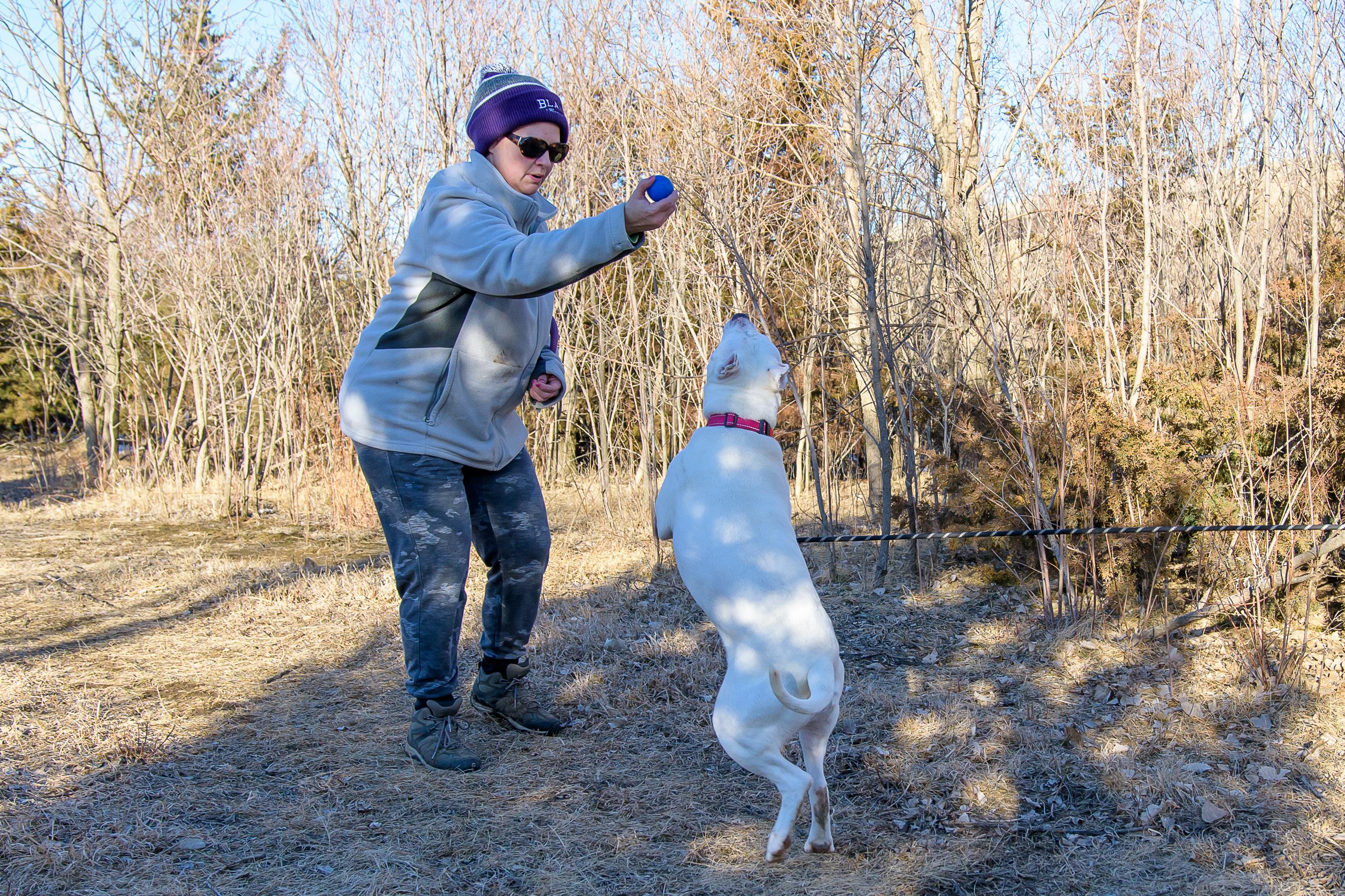 Enlarge Brie, a ADOPTABLE mixed breed in Blair, NE image 2/6