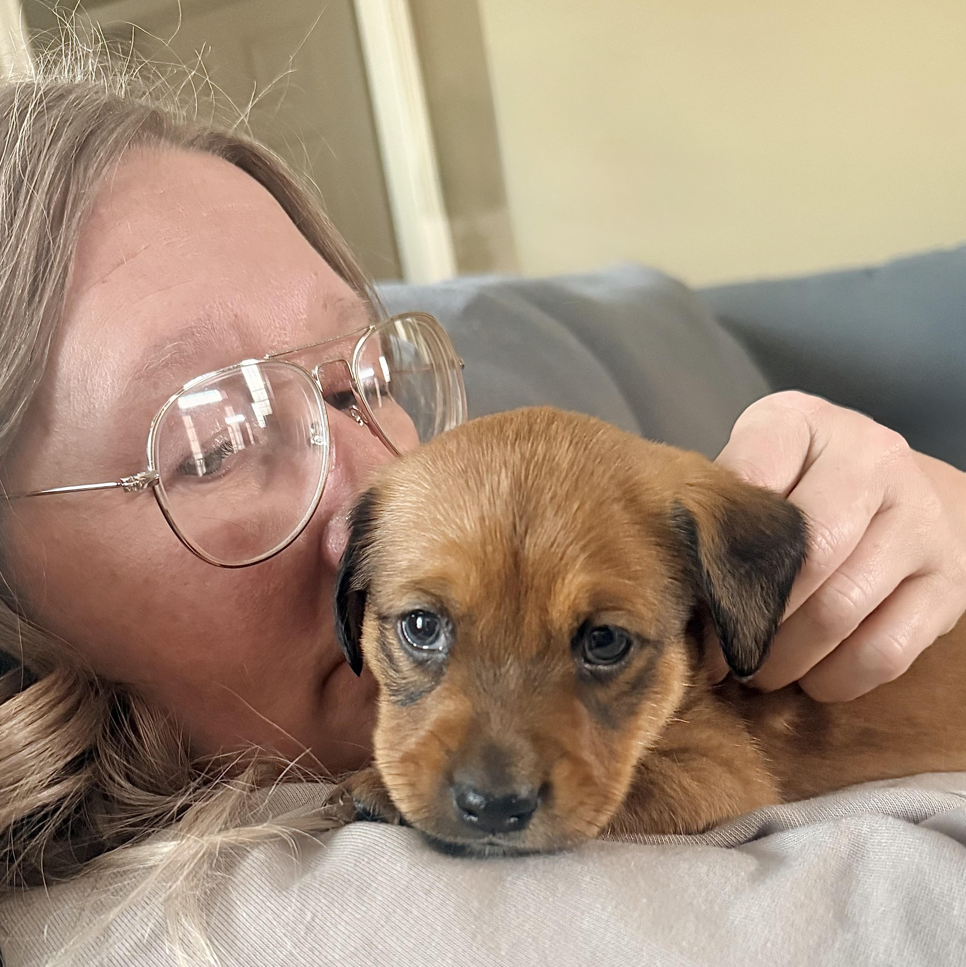 Bear — thumbnail 3