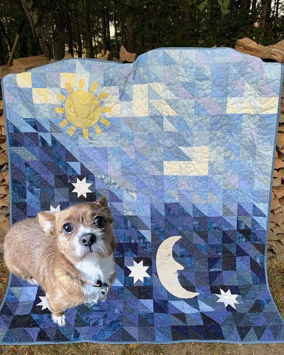 Enlarge Poco, a Adoptable mixed breed in Friendship, NY image 2/3