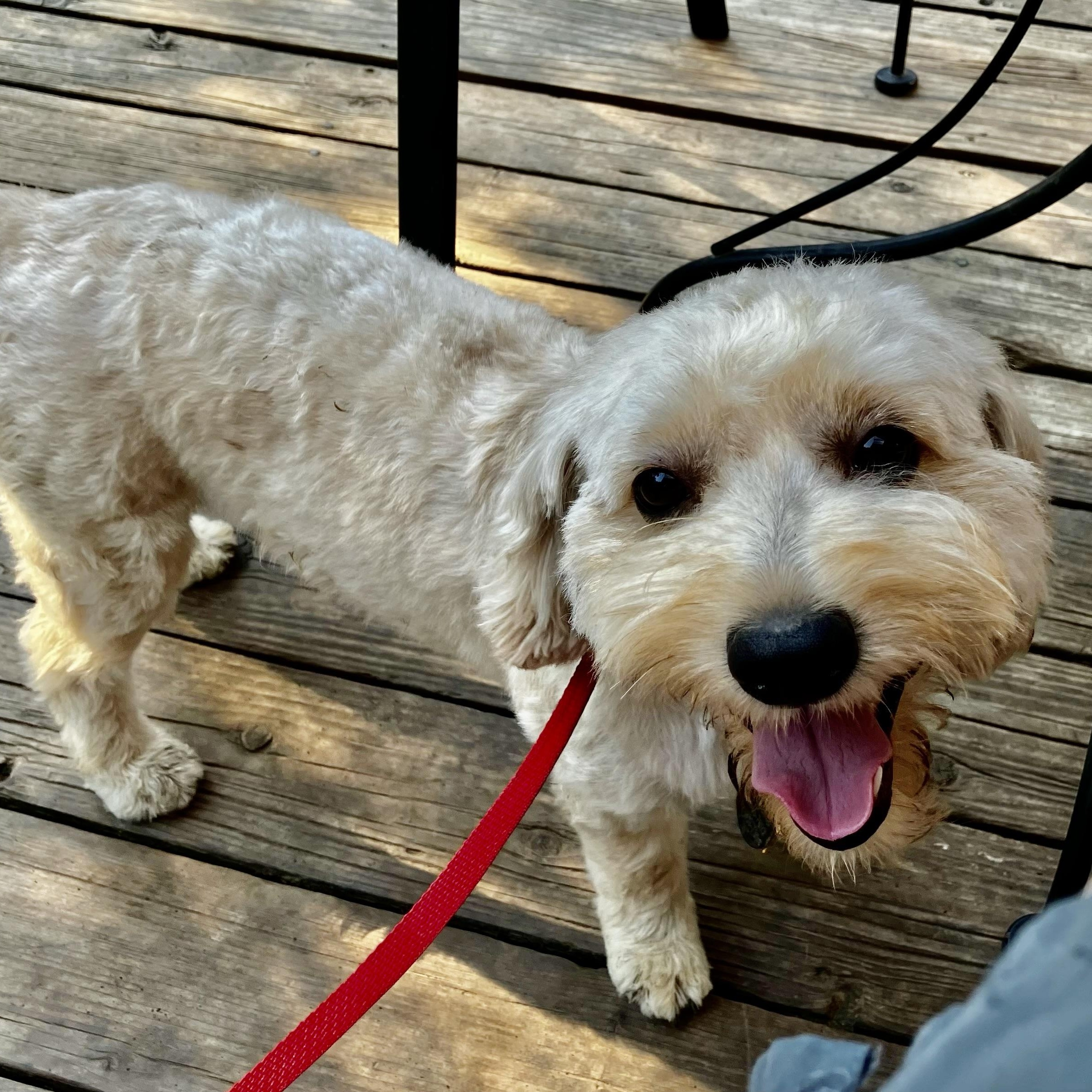 Danny Trooper thumbnail 3