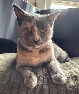 Mimi — thumbnail 3