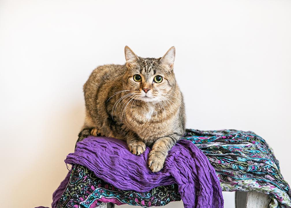 TINY TEETER, Young Female unknown