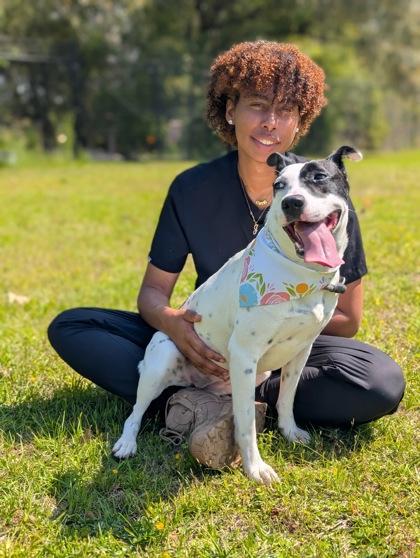 Enlarge Fuji, a Adoptable mixed breed in Gulfport, MS image 3/3