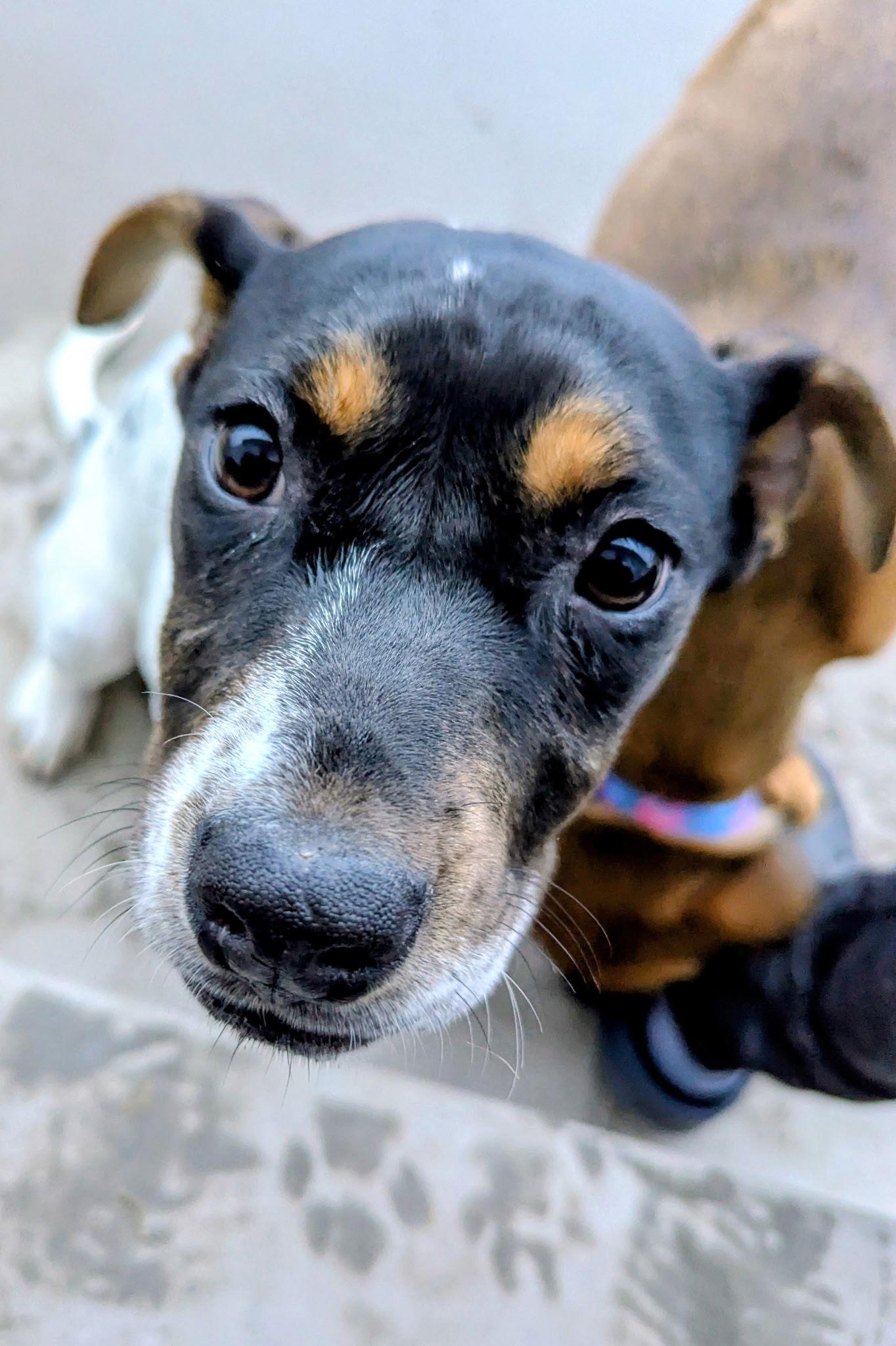 Lucy Lou — thumbnail 3