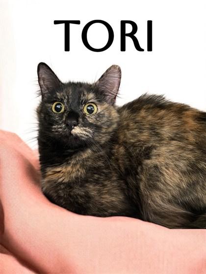 Tori