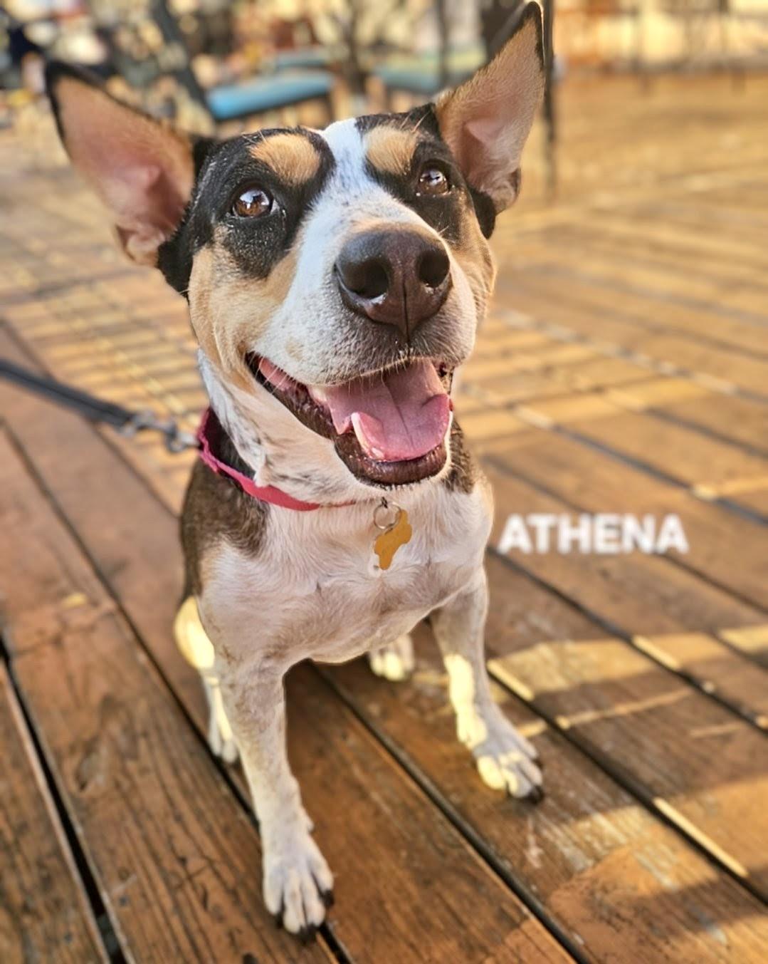 Athena