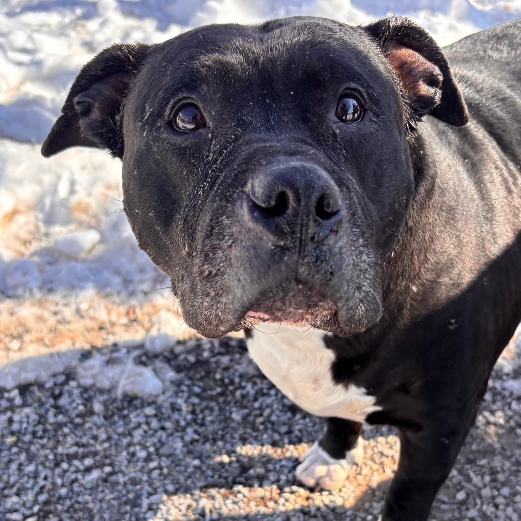 Athena — thumbnail 5