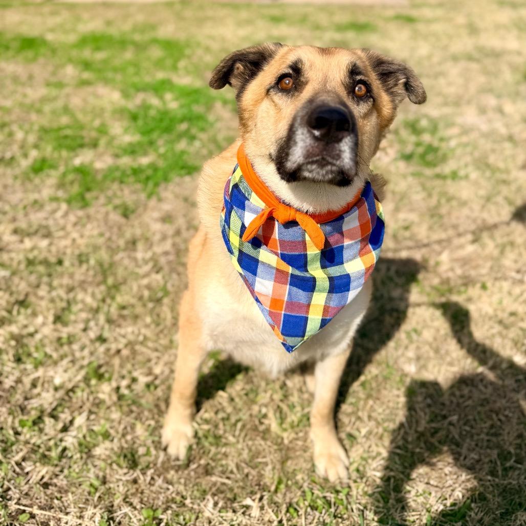 Peanut — thumbnail 4