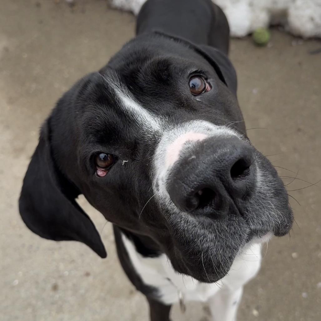 Bane $99 - See my Video!