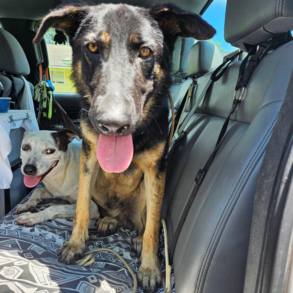 Easton — thumbnail 2