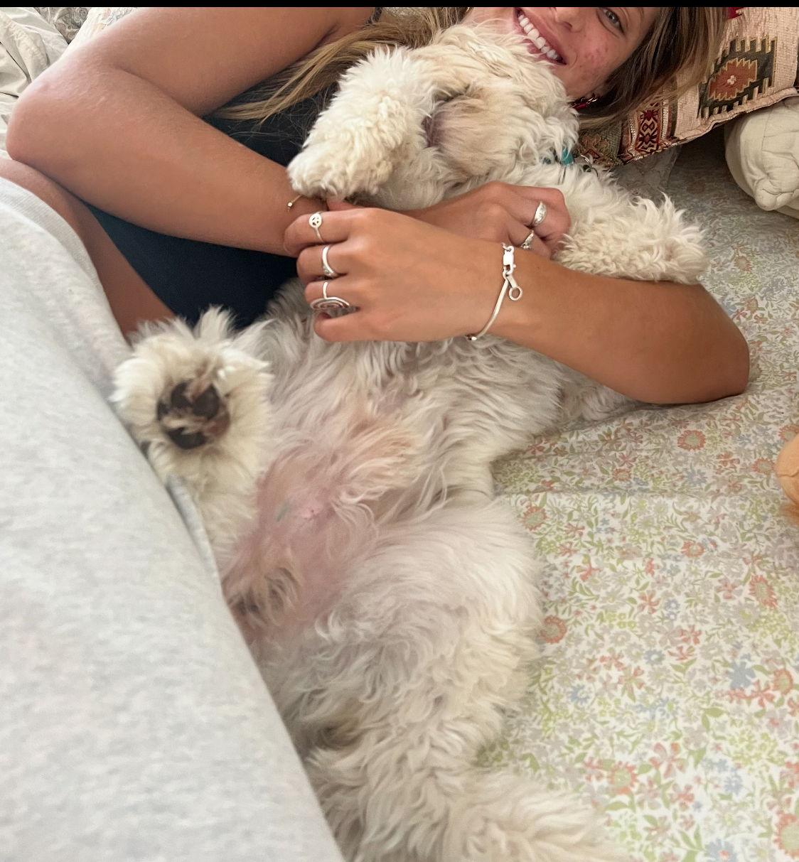 Enlarge Kirby, a Adopted mixed breed in Winter Park, FL image 2/3