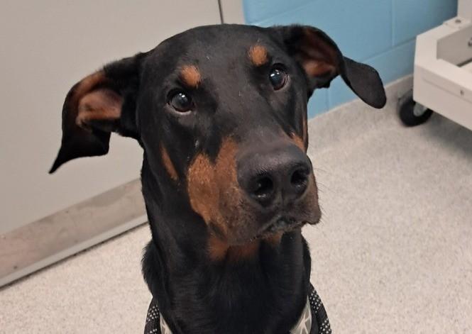 Max