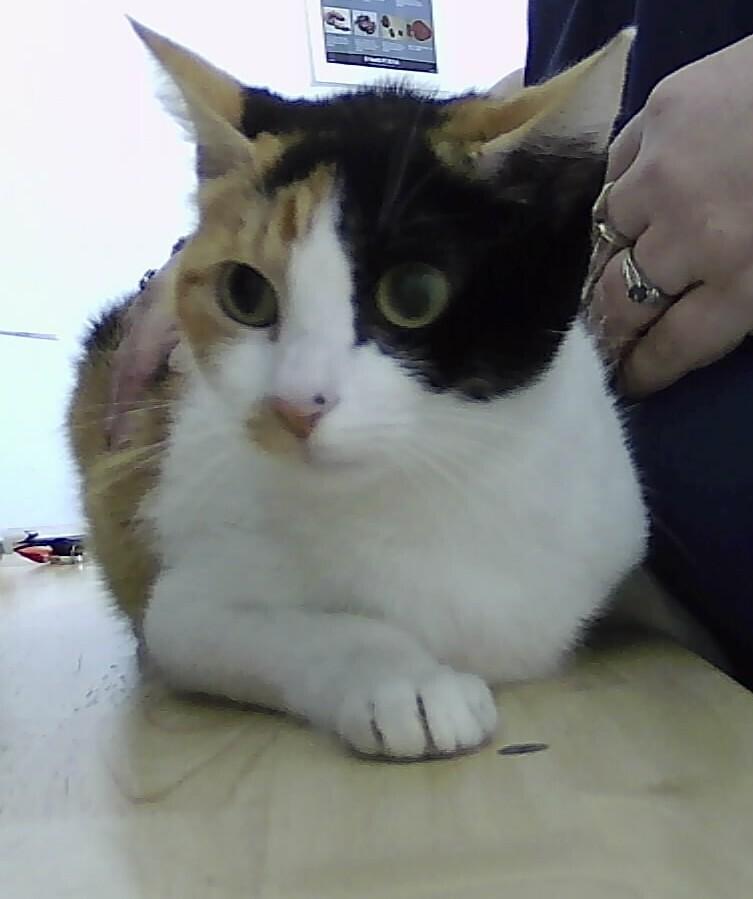 Skittles thumbnail 2