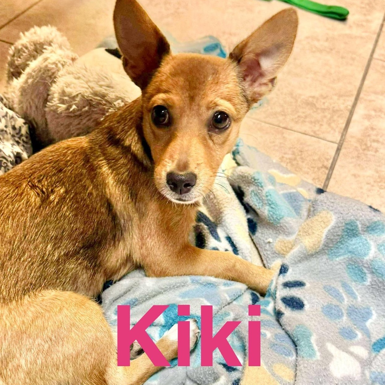Kiki, Baby Female unknown
