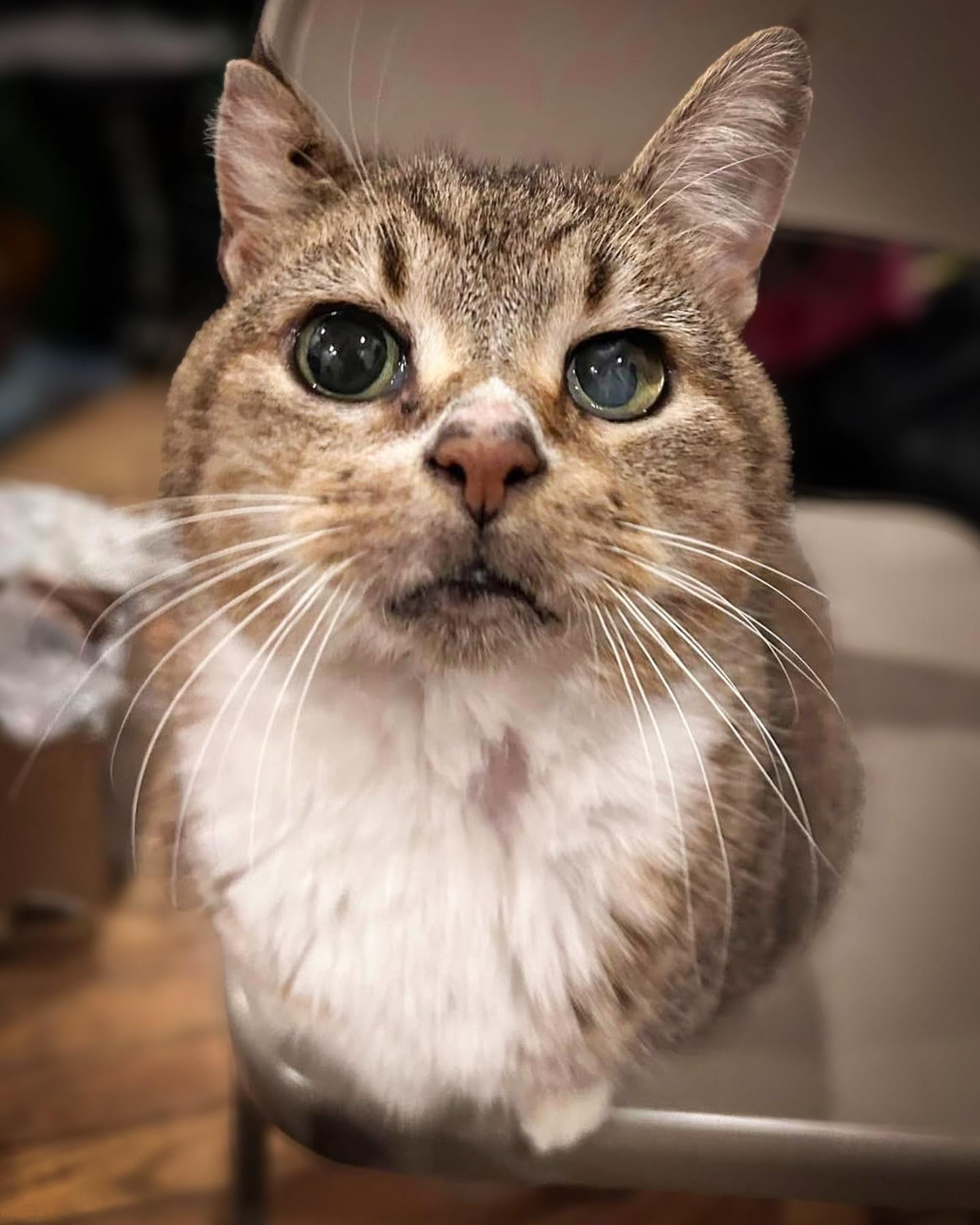 FANNY — thumbnail 3