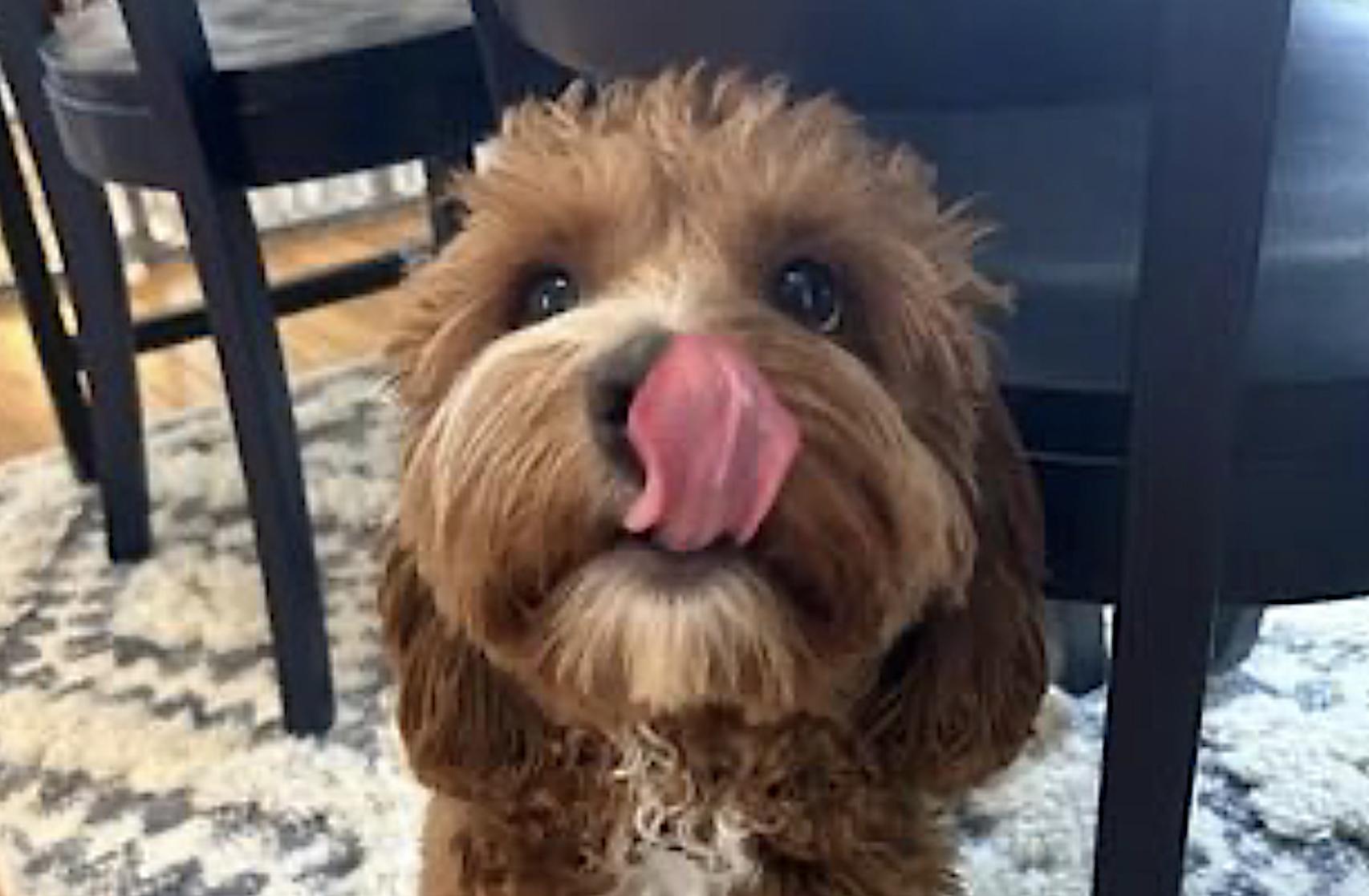 Bentley