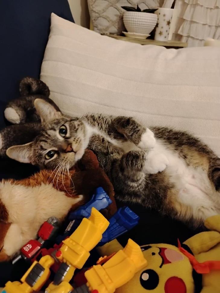 Candy Apple thumbnail 4