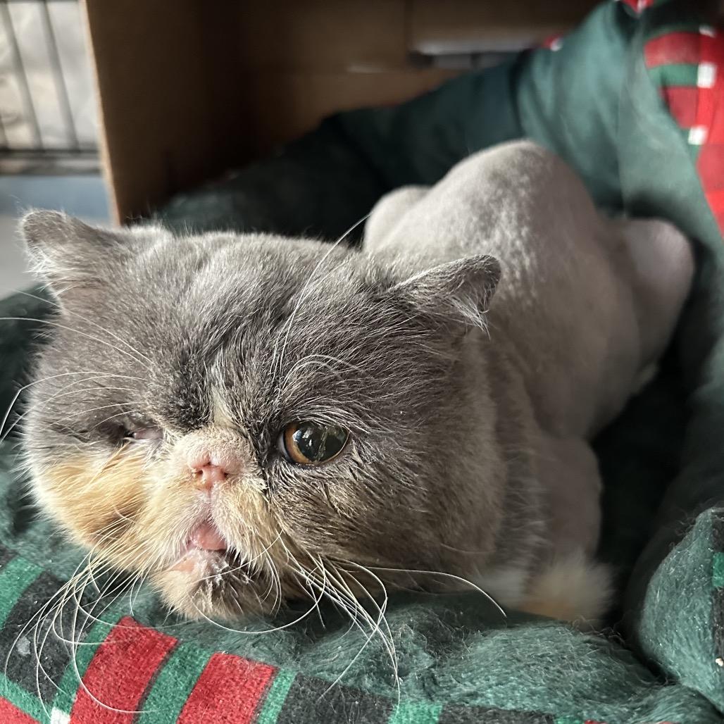 Barret — thumbnail 2