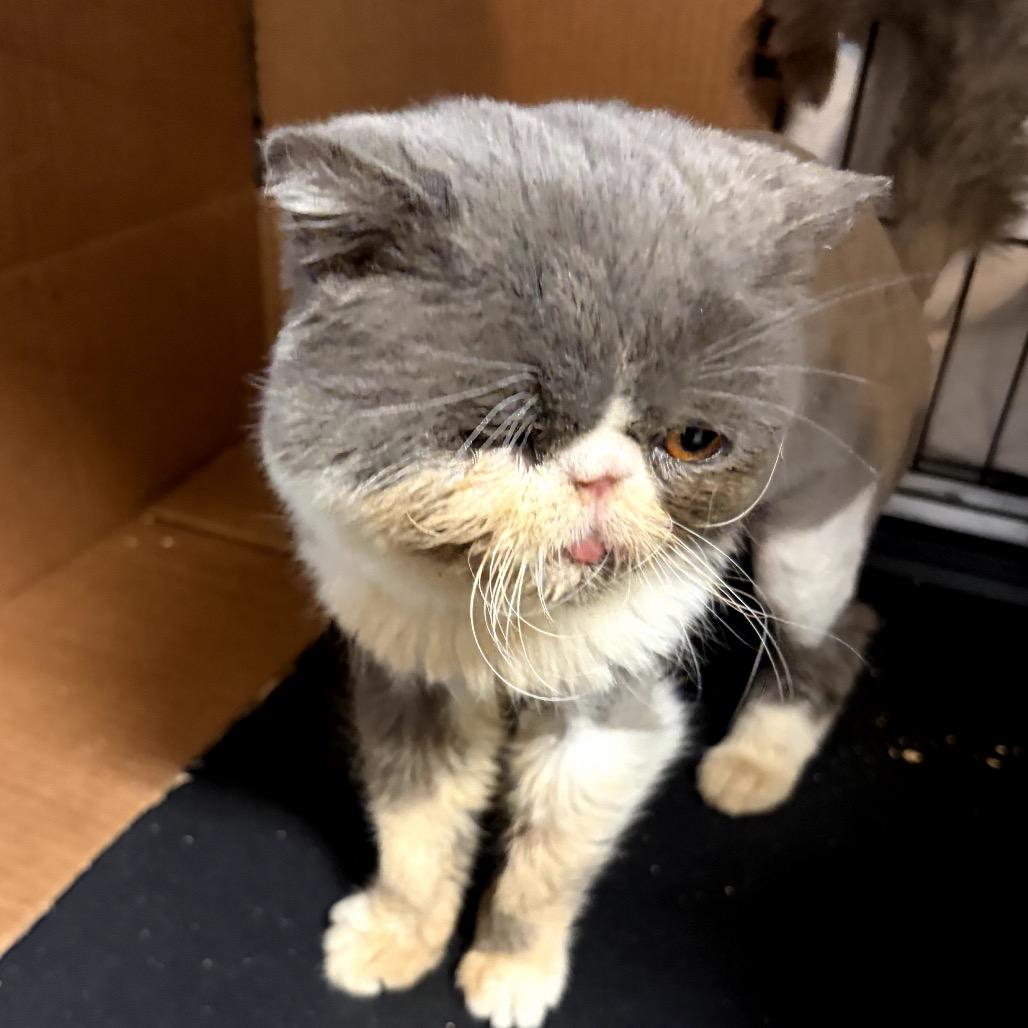 Barret — thumbnail 3