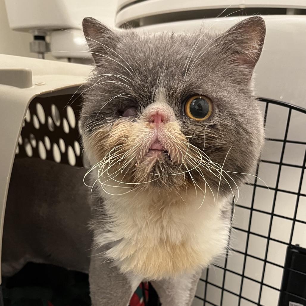 Barret — thumbnail 5