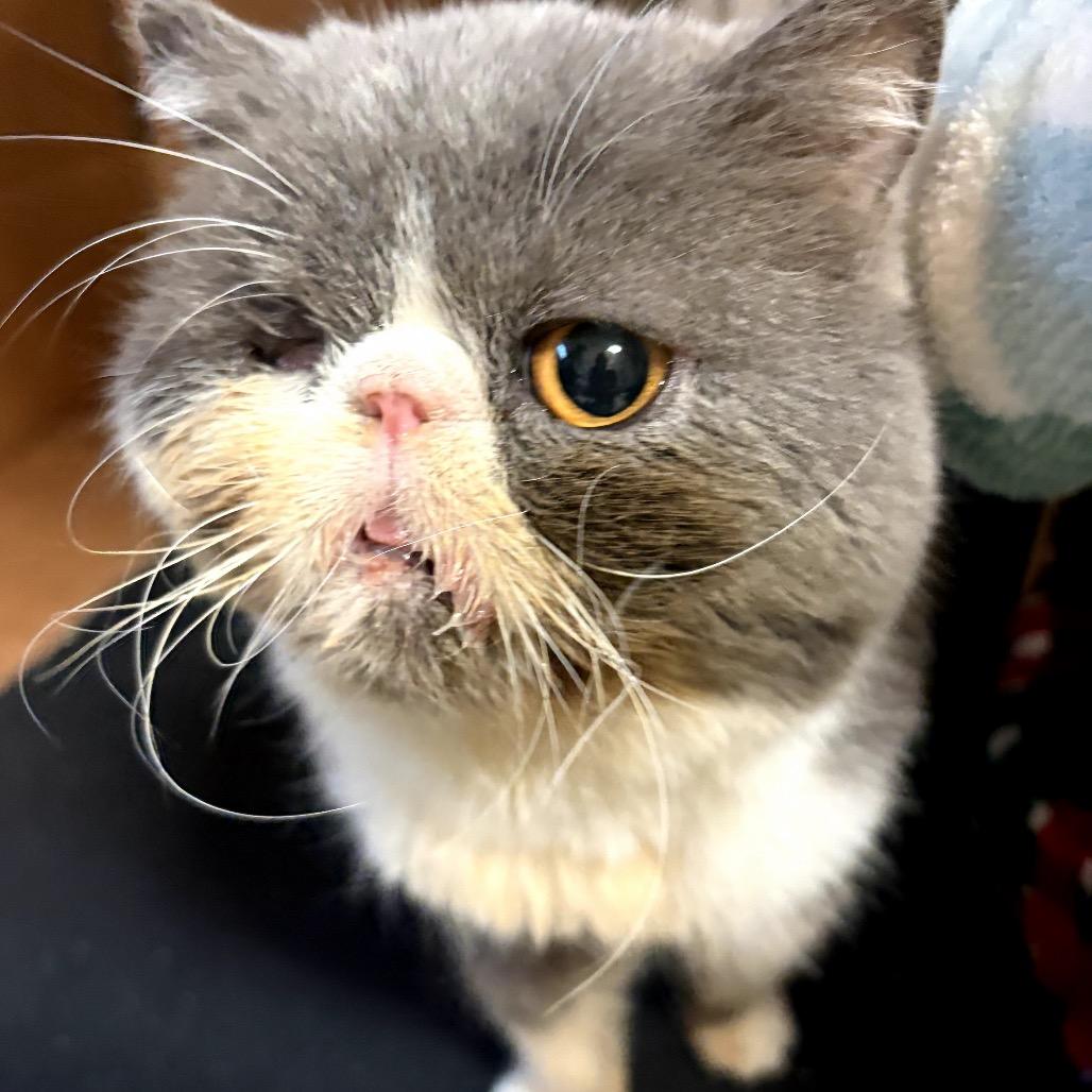 Barret — thumbnail 6