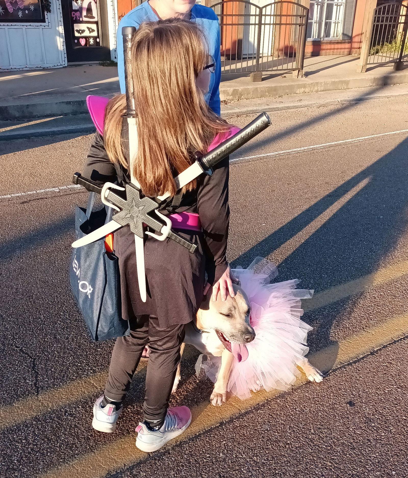 Enlarge Sweet Olive, a Adoptable Pit Bull Terrier in Monticello, MS image 2/3