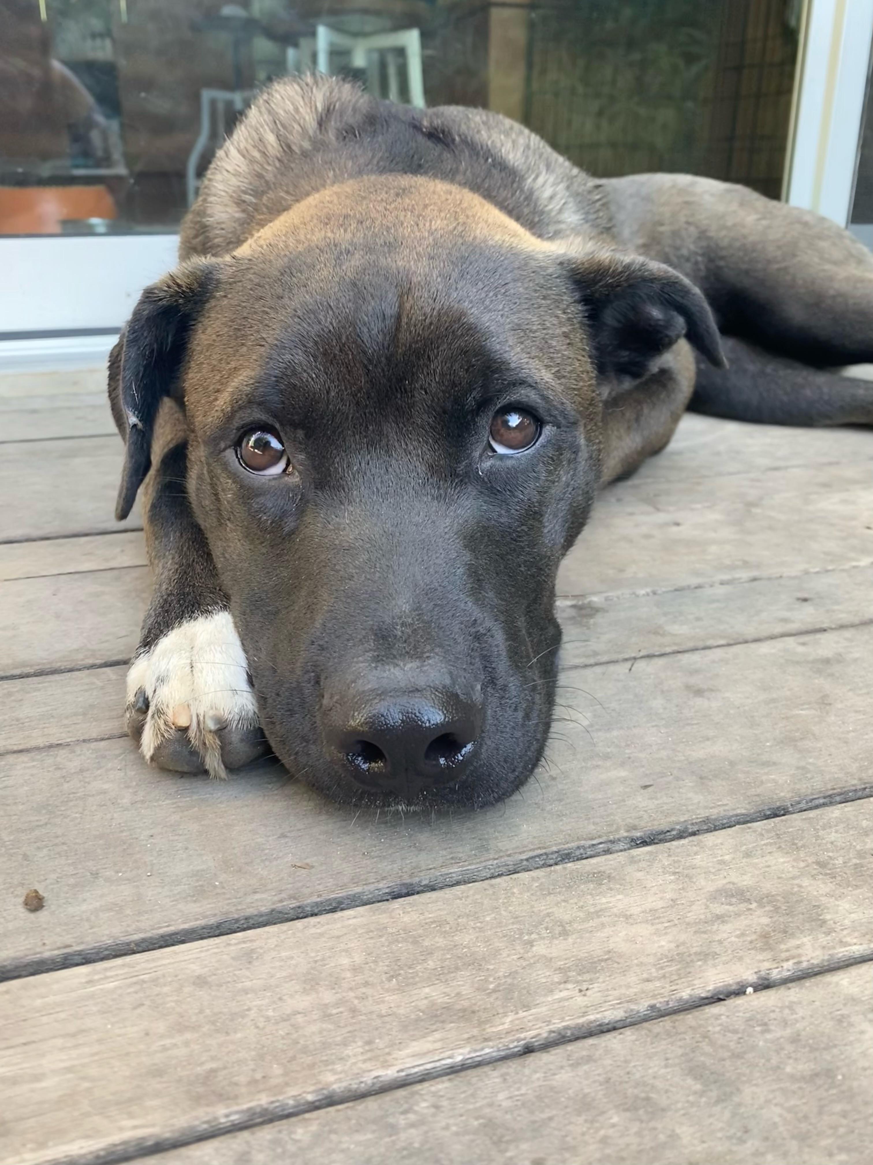 Dizzy - Courtesy Post