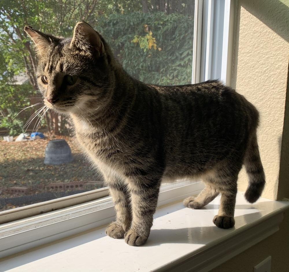 Gray-K — thumbnail 3