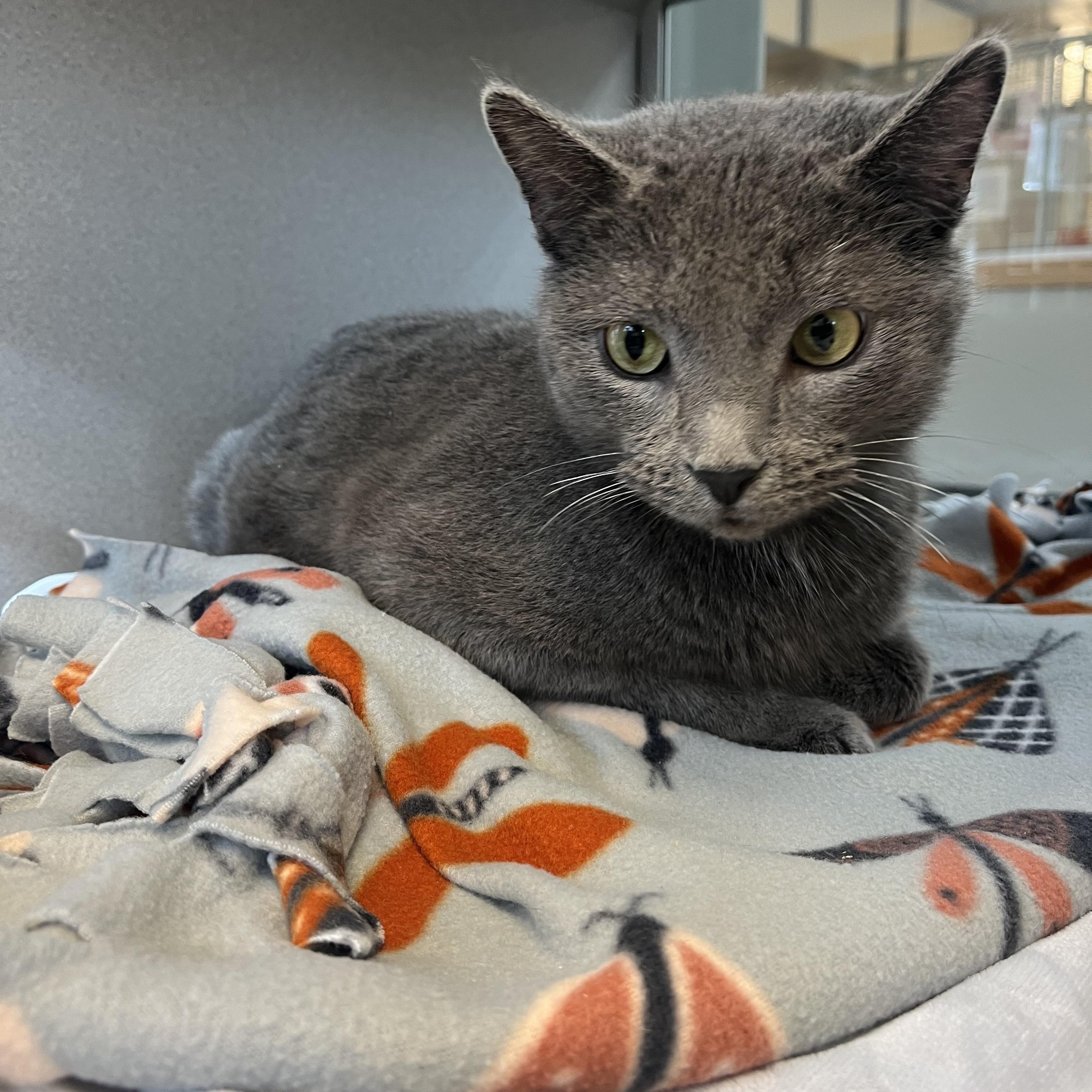 Scottland — thumbnail 2