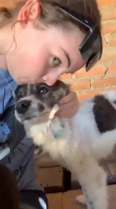 Enlarge Muffin , an adopted Mixed Breed in EL COLORADO, JAL video 3/3
