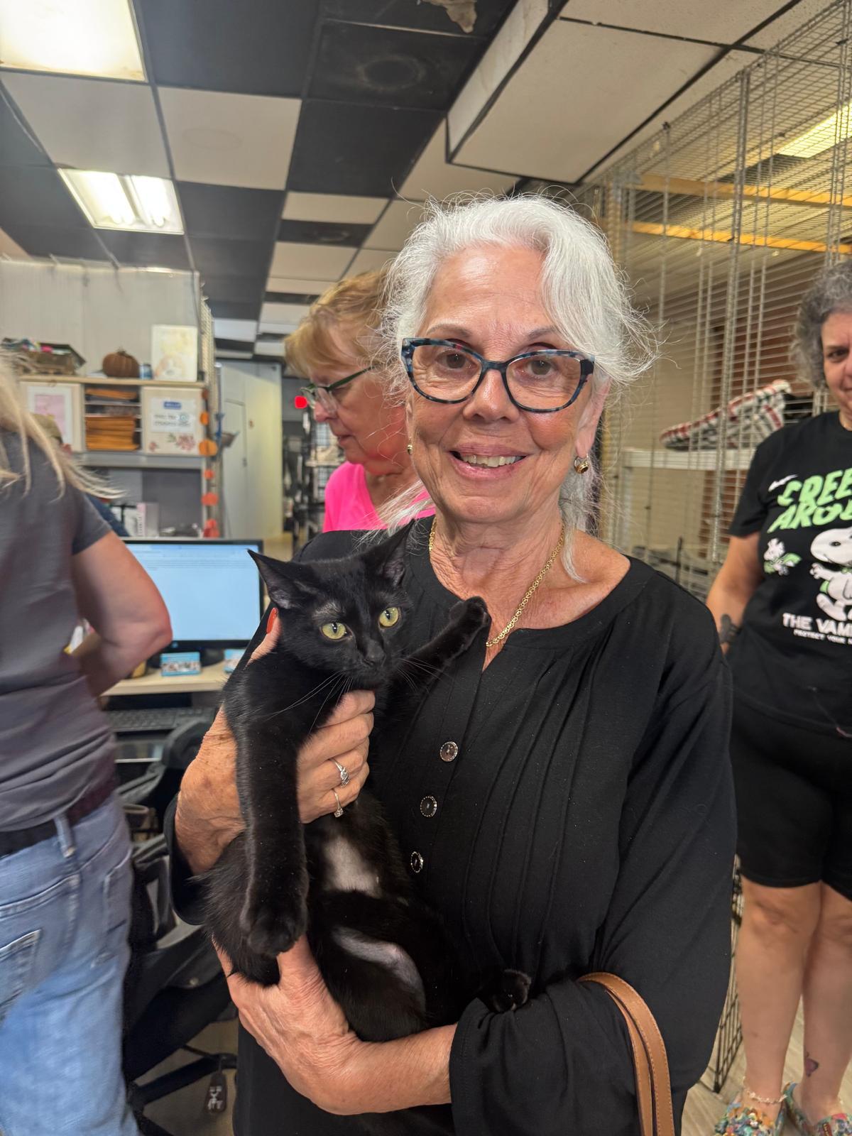 Enlarge SHAYLA, a Adopted Domestic Short Hair in Margate, FL image 1/1