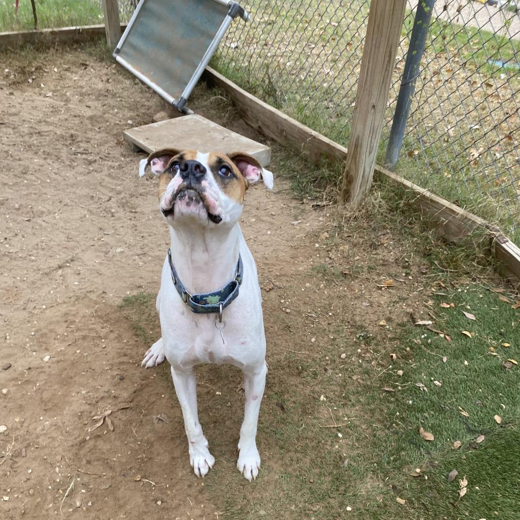 Ralph — thumbnail 5