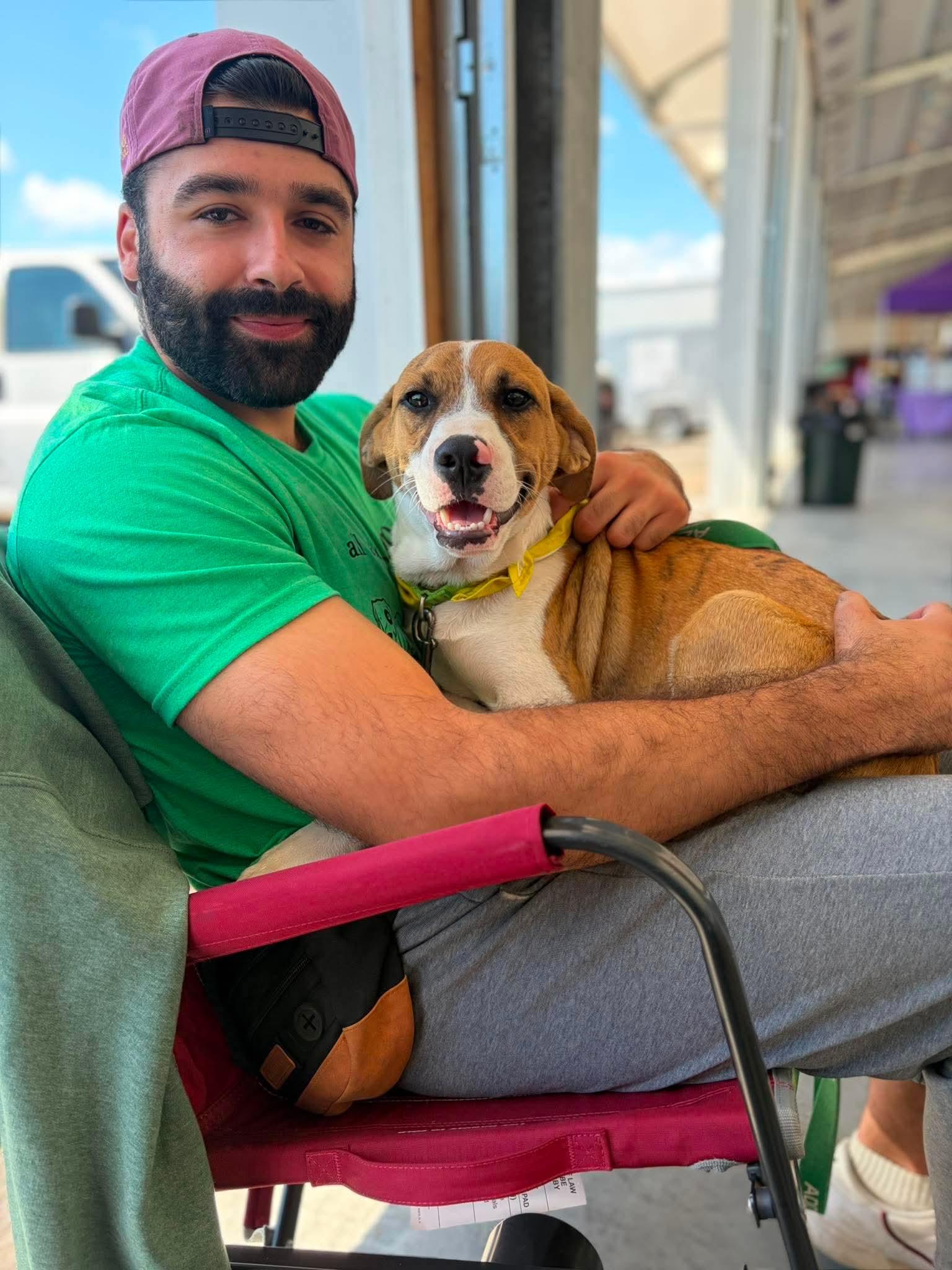Enlarge Zeus, a Adoptable Mixed Breed in Argyle, NY image 6/6