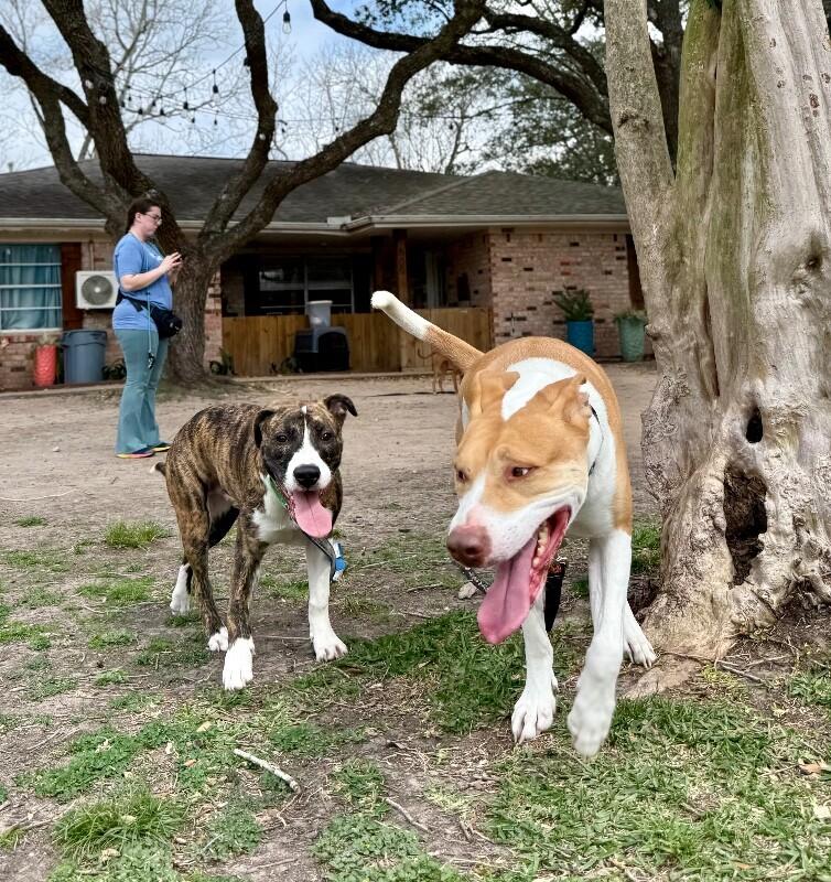 Finn Sweeite The Happiest Boy Around